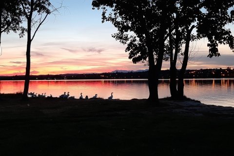 Hus till salu i Spanien 4 sovrum, 183 kvm. Nr. 153241 - foto 17