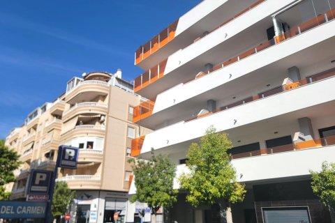 Apartament Torrevieja, Alicante, Hiszpania 3 sypialnie, 148 mkw. nr 140027 – zdjęcie 3
