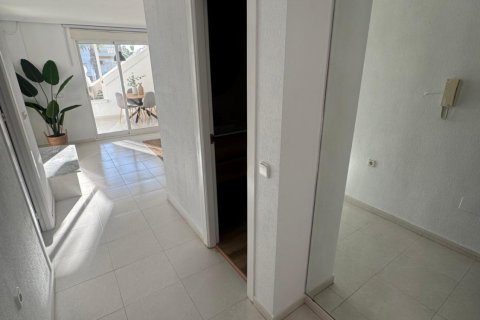 Apartament Playa Flamenca II, Alicante, Hiszpania 2 sypialnie, 70 mkw. nr 140029 – zdjęcie 13