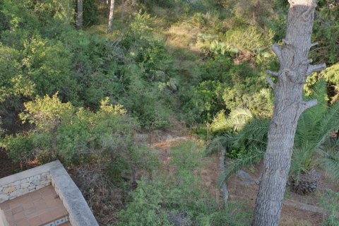 Villa à vendre à Pedreguer, Alicante, Espagne, 9 chambres, 400 m2 No. 158312 - photo 7