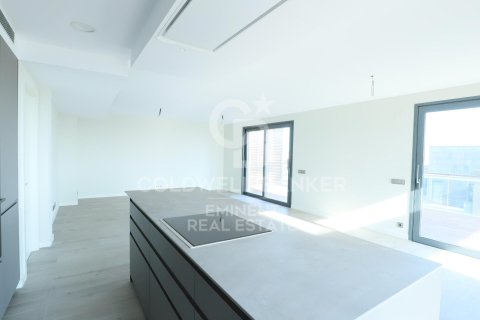 Kattohuoneisto myytävänä Esplugues de Llobregat, Barcelona, Espanja, 4 makuuhuonetta, 170 m2 No. 157172 - kuva 3
