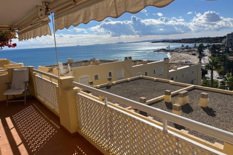 Apartament w Dehesa De Campoamor, Alicante, Hiszpania 3 sypialnie, 100 mkw. nr 148760