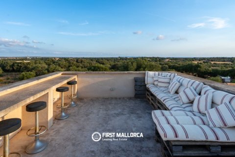 Finca for sale in Ses Salines, Mallorca, Spain 5 bedrooms, 407 sq.m. No. 181779 - photo 13