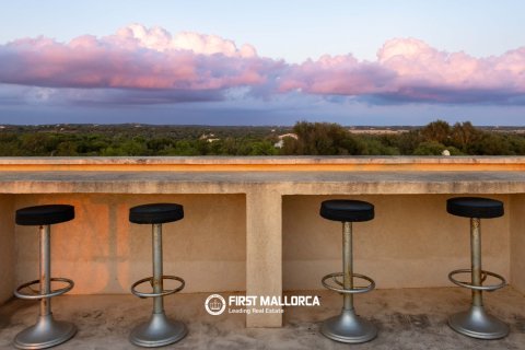 Finca for sale in Ses Salines, Mallorca, Spain 5 bedrooms, 407 sq.m. No. 181779 - photo 12