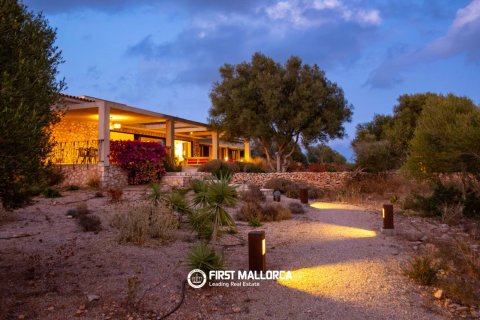 Finca for sale in Ses Salines, Mallorca, Spain 5 bedrooms, 407 sq.m. No. 181779 - photo 3