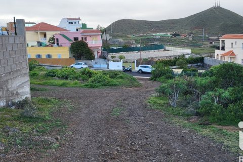 Tontti myytävänä Granadilla de Abona, Tenerife, Espanja , 360 m2 No. 185261 - kuva 6