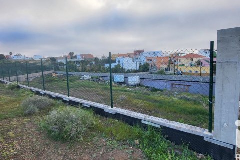Tontti myytävänä Granadilla de Abona, Tenerife, Espanja , 360 m2 No. 185261 - kuva 3