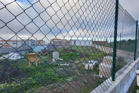 Tontti myytävänä Granadilla de Abona, Tenerife, Espanja , 360 m2 No. 185261 - kuva 5