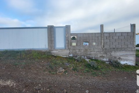 Tontti myytävänä Granadilla de Abona, Tenerife, Espanja , 360 m2 No. 185261 - kuva 2
