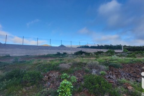 Tontti myytävänä Granadilla de Abona, Tenerife, Espanja , 360 m2 No. 185261 - kuva 8