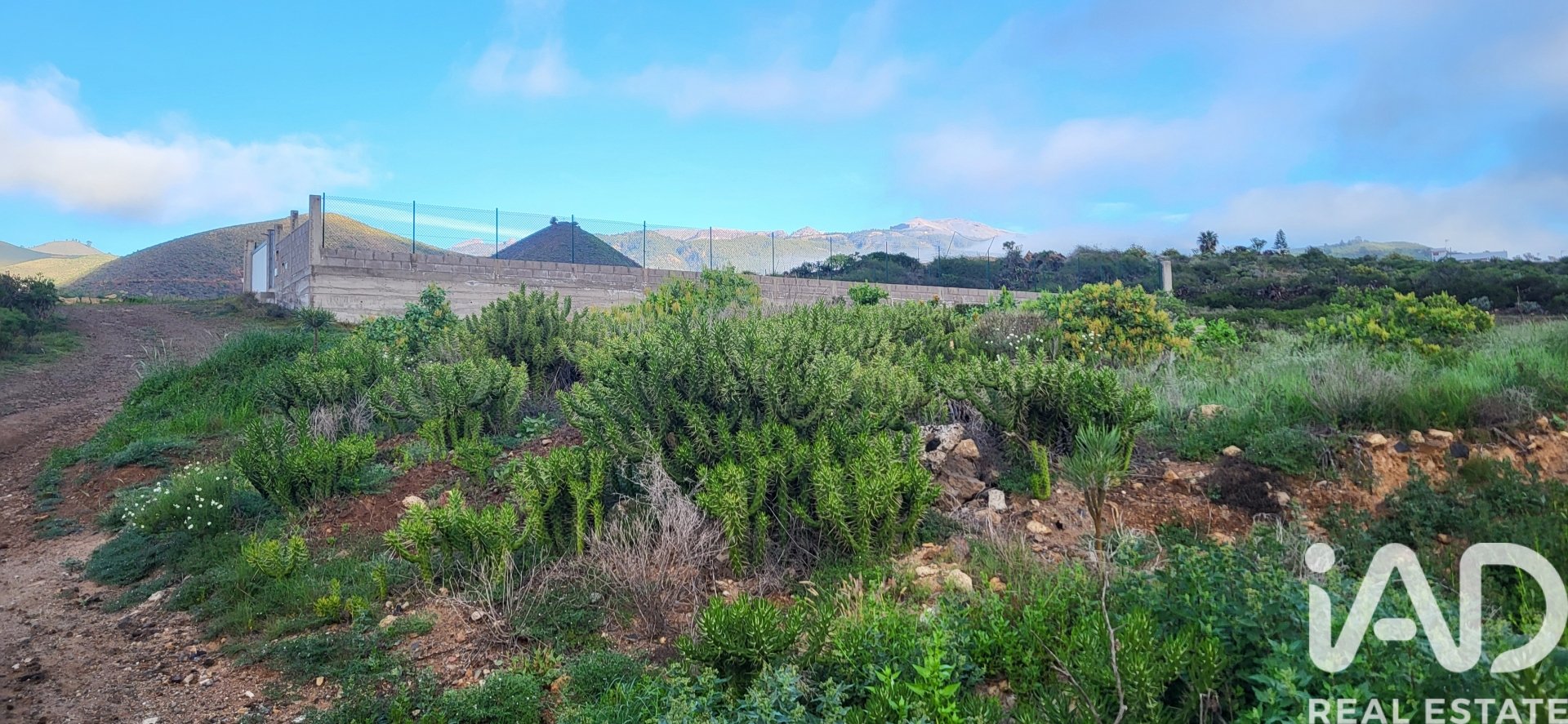 Land plot in Granadilla de Abona, Tenerife, Spain 360 sq.m. No. 185261
