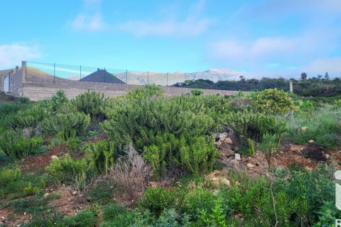 Tontti myytävänä Granadilla de Abona, Tenerife, Espanja , 360 m2 No. 185261 - kuva 9