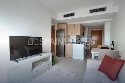 Apartment à vendre à Vera, Almeria, Espagne, 2 chambres, 59 m2 No. 181919 - photo 13