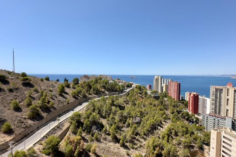 Wohnung zum Verkauf in Benidorm, Alicante, Spanien 2 Schlafzimmer, 129 m2 Nr. 165379 - Foto 11