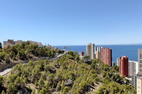 Wohnung zum Verkauf in Benidorm, Alicante, Spanien 2 Schlafzimmer, 129 m2 Nr. 165379 - Foto 18