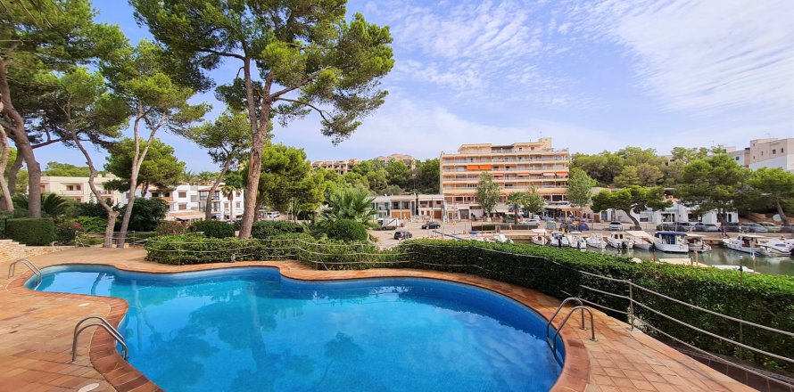 Appartamento a Portopetro, Mallorca, Spagna 3 camere da letto, 96 mq. N° 193648
