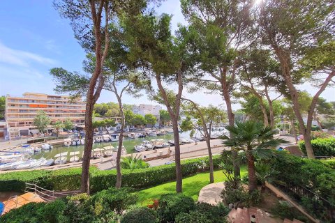 Appartamento in affitto a Portopetro, Mallorca, Spagna 3 camere da letto, 96 mq. N° 193648 - foto 15