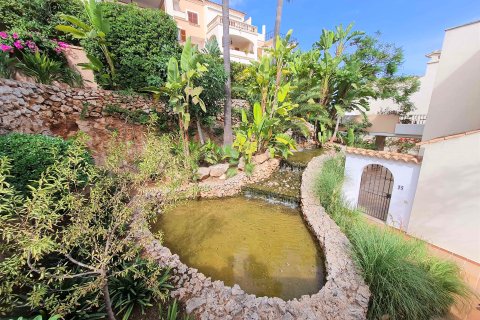 Appartamento in affitto a Portopetro, Mallorca, Spagna 3 camere da letto, 96 mq. N° 193648 - foto 14