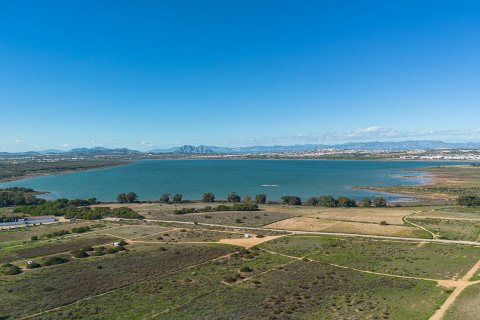 Продажа квартиры в Торревьеха, Аликанте, Испания 2 спальни, 80м2 №151820 - фото 30