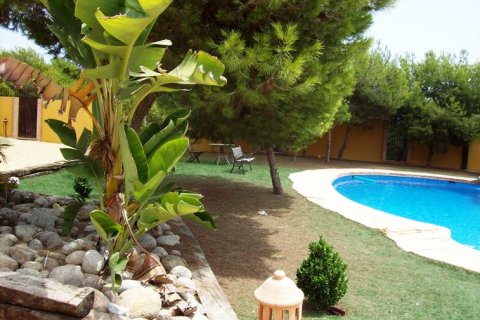 Finca myytävänä Ciudad Quesada, Alicante, Espanja, 4 makuuhuonetta, 274 m2 No. 146562 - kuva 13