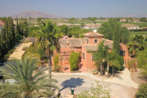 Finca zum Verkauf in Catral, Alicante, Spanien 7 Schlafzimmer, 396 m2 Nr. 146566 - Foto 3
