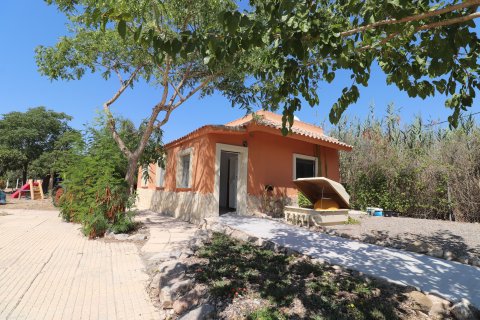 Finca zum Verkauf in Catral, Alicante, Spanien 7 Schlafzimmer, 396 m2 Nr. 146566 - Foto 25