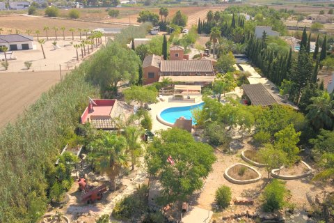 Finca in Catral, Alicante, Spanien 7 Schlafzimmer, 396 m2 Nr. 146566