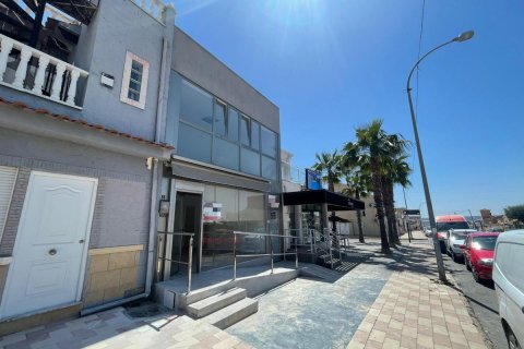 Lokal usługowy w La Marina, Alicante, Hiszpania 1 sypialnia, 48 mkw. nr 183888 – zdjęcie 24