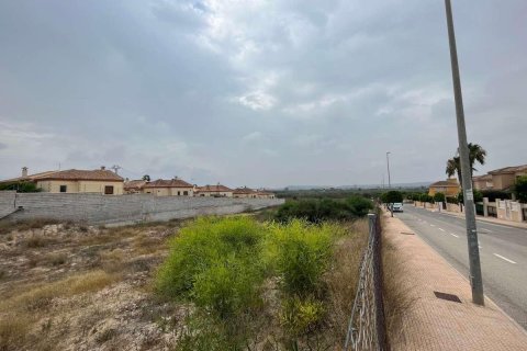 Продажа земельного участка в Сан-Фульхенсио, Аликанте, Испания №183891 - фото 3