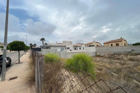 Продажа земельного участка в Сан-Фульхенсио, Аликанте, Испания №183891 - фото 4