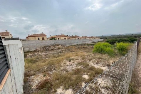 Продажа земельного участка в Сан-Фульхенсио, Аликанте, Испания №183891 - фото 2