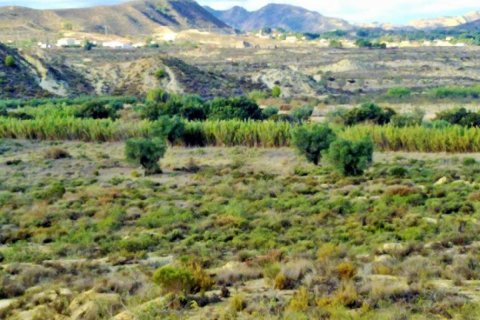 Land plot for sale in Torremendo, Alicante, Spain No. 183885 - photo 3