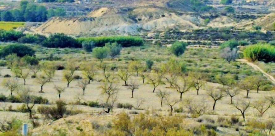 Land plot in Torremendo, Alicante, Spain No. 183885