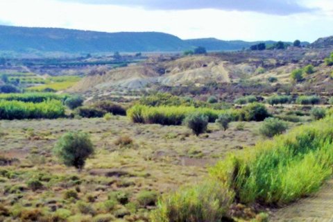 Land plot for sale in Torremendo, Alicante, Spain No. 183885 - photo 7