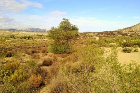 Land plot for sale in Torremendo, Alicante, Spain No. 183885 - photo 8