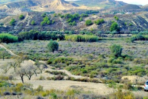 Land plot for sale in Torremendo, Alicante, Spain No. 183885 - photo 6