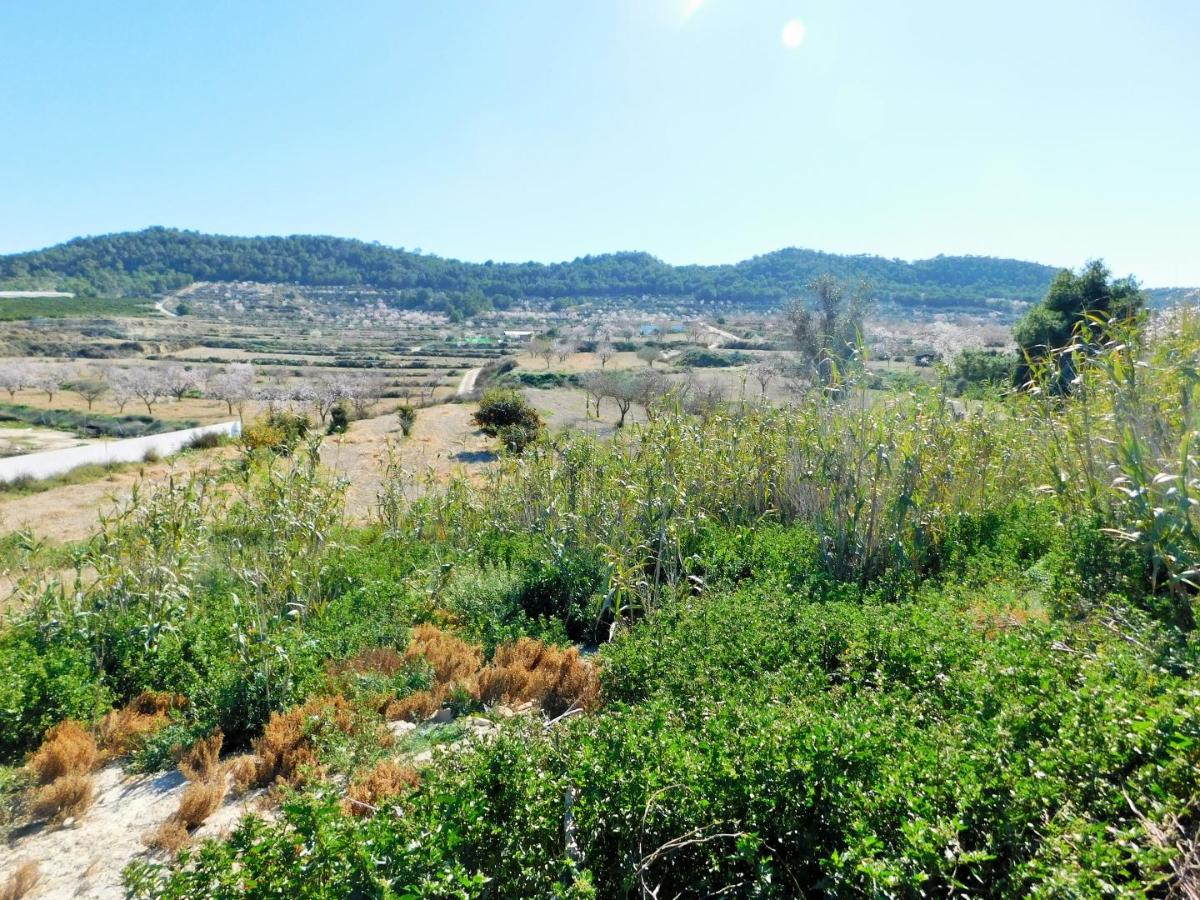 Finca Torremendo, Alicante, Spānijā 3 istabas, 183 m2 Nr. 183886