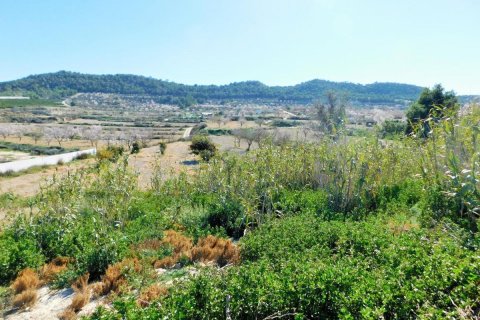 Finca à vendre à Torremendo, Alicante, Espagne, 3 chambres, 183 m2 No. 183886 - photo 29
