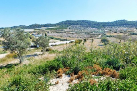Finca à vendre à Torremendo, Alicante, Espagne, 3 chambres, 183 m2 No. 183886 - photo 4