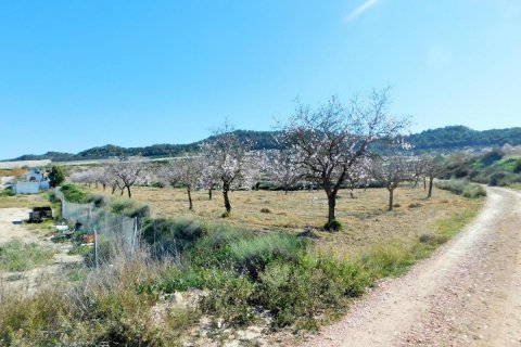 Finca à vendre à Torremendo, Alicante, Espagne, 3 chambres, 183 m2 No. 183886 - photo 5