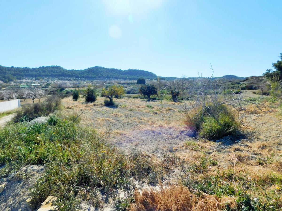 Finca Torremendo, Alicante, Spānijā 3 istabas, 183 m2 Nr. 183886