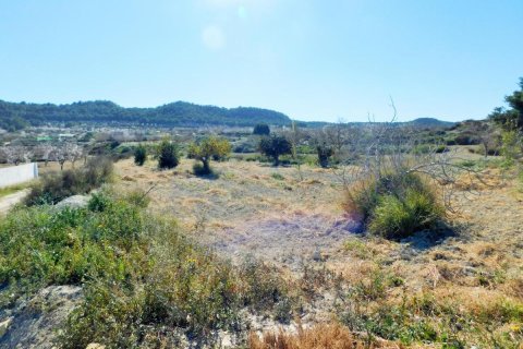 Finca à vendre à Torremendo, Alicante, Espagne, 3 chambres, 183 m2 No. 183886 - photo 28