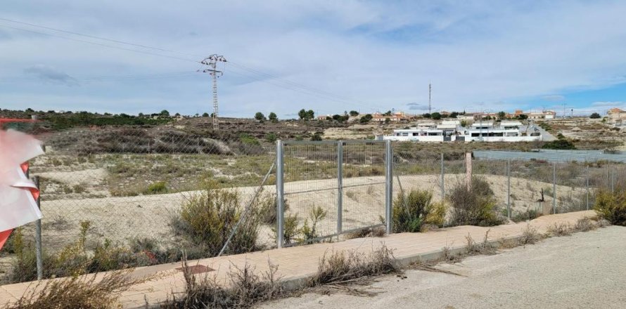 Tontti Torremendo, Alicante, Espanja No. 183887