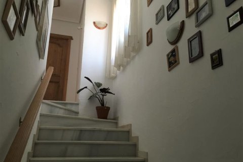 Townhouse zum Verkauf in Torrevieja, Alicante, Spanien 6 Schlafzimmer, 650 m2 Nr. 140350 - Foto 29