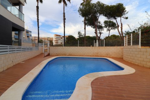 Apartment for sale La Mata, Alicante, Spain 1 bedroom, 59 sq.m. No. 136747 - photo 20