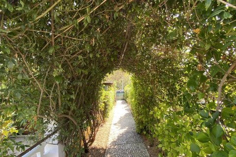 Villa for sale in L'Alfàs del Pi, Alicante, Spain 4 bedrooms, 275 sq.m. No. 165228 - photo 14