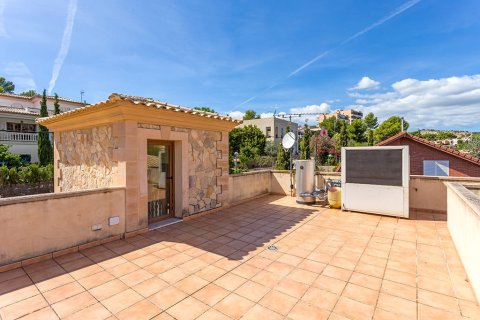 Villa zum Verkauf in Mallorca, Spanien 8 Schlafzimmer, 630 m2 Nr. 148103 - Foto 15