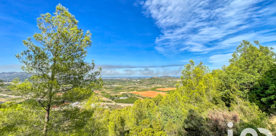 Земельный участок в Адор, Валенсия, Испания 3000м2 №153102