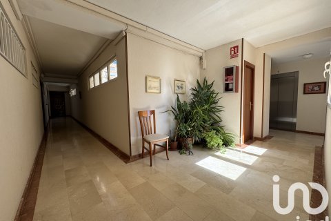 Apartment à vendre à Cadiz, Espagne, 4 chambres, 125 m2 No. 153108 - photo 16