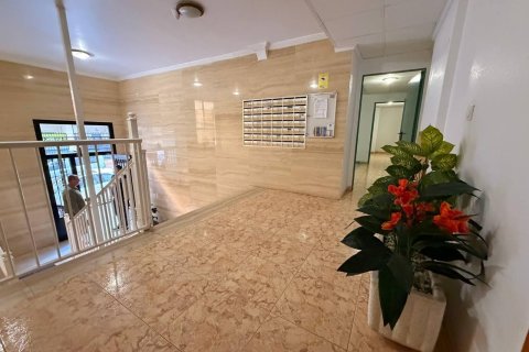 Продажа квартиры в Торревьеха, Аликанте, Испания 2 спальни, 65м2 №184306 - фото 19